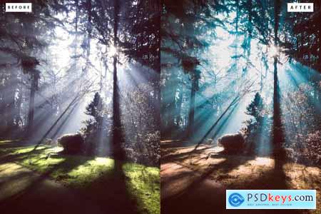 Realistic Rays Lightroom Presets