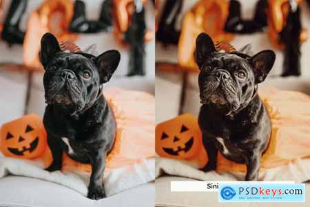 20 Spooky Lightroom Presets and LUTs