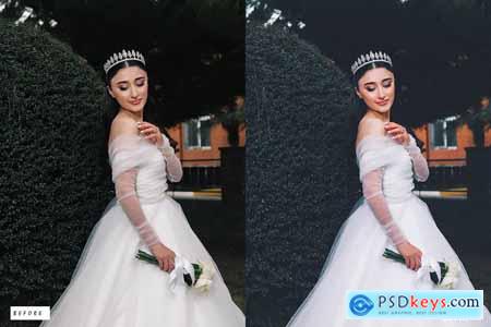 Dream Wedding Lightroom Presets