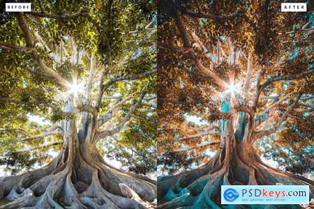 Realistic Rays Lightroom Presets