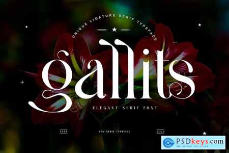 Gallits Ligature Serif Typeface