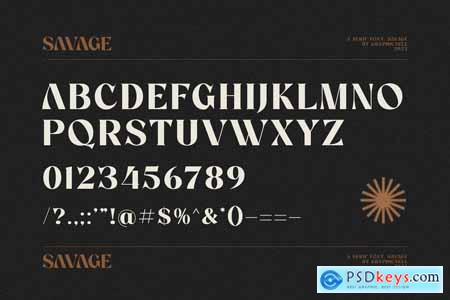 Savage Elegant Serif Font Typeface