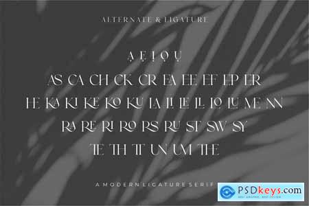 KAIRA Ligature Serif Typeface