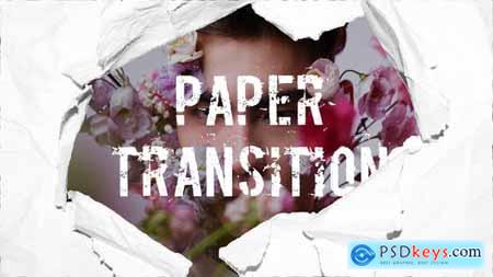 Paper Transition 49001179