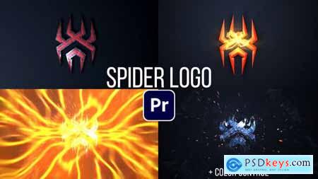 Spider Logo 48759816