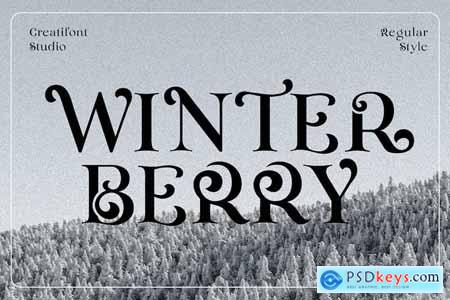 Winterberry - Christmas Serif Font