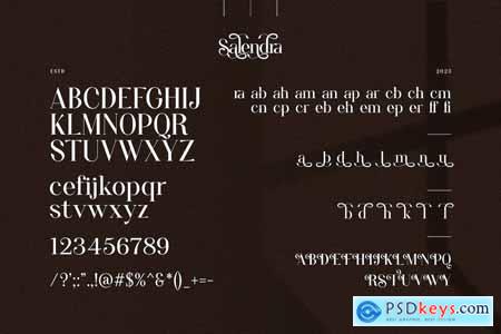 Salendra Elegant Ligature Serif Font Typeface