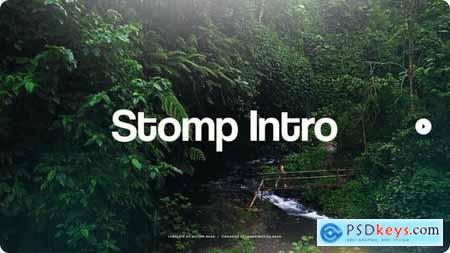 Stomp Intro 49344323
