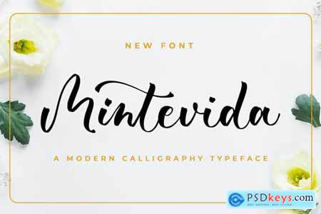 Mintevida - Wedding Font