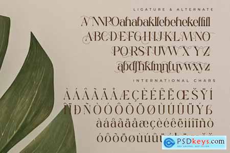 Qedgan Mellodysta Font Duo