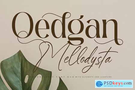 Qedgan Mellodysta Font Duo