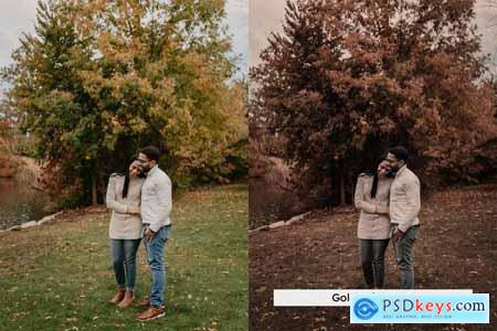 20 Cinnamon Lightroom Presets and LUTs