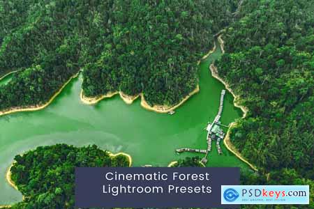 Cinematic Forest Lightroom Presets