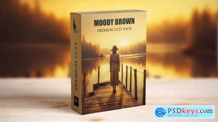 Cinematic Moody Brown Bohemian Wedding Video Luts 49390309