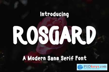 Rosgard Manuscript Font