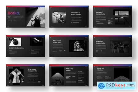 Borka  Business PowerPoint Template