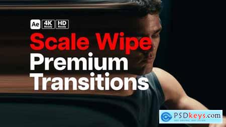 Premium Transitions Scale Wipe 49795220