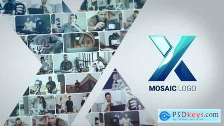 Mosaic Photos Logo Reveal 49823772