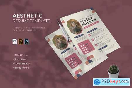 Aesthetic Geometric - Resume