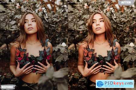 Warm Earthy Lightroom Presets Dekstop and Mobile