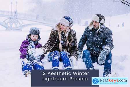 12 Aesthetic Winter Lightroom Presets