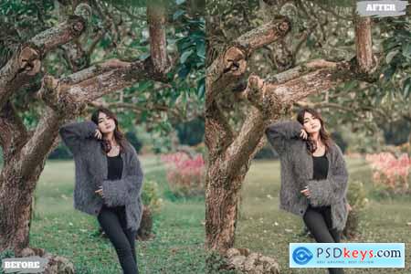 Warm Earthy Lightroom Presets Dekstop and Mobile