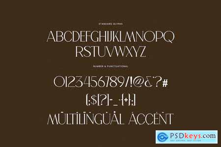 Lecmer Elegant Ligature Serif Font Typeface