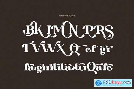 Qarifa Elegant Ligature Serif Font Typeface