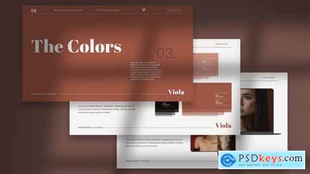 Viola - Brand Guideline Powerpoint Template