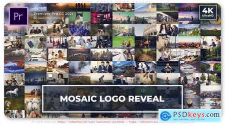 Mosaic Photo Logo Reveal 49838787