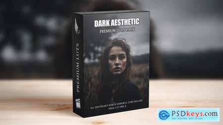 Dark Aesthetic Moody Cinematic Film LUTs Pack 49871859