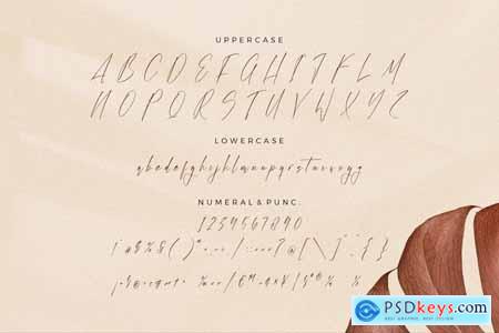 Amolqittan Modern Script Font