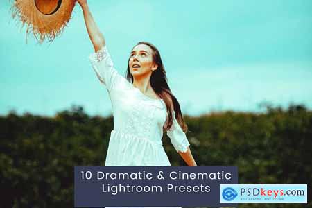 10 Dramatic & Cinematic Lightroom Presets