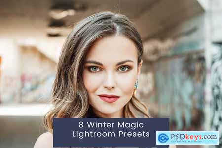 8 Winter Magic Lightroom Presets