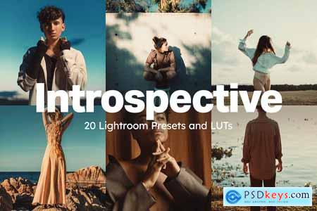 20 Introspective Lightroom Presets and LUTs