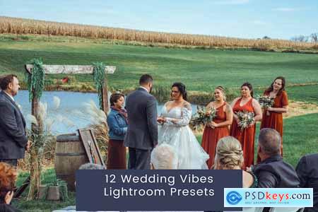12 Wedding Vibes Lightroom Presets