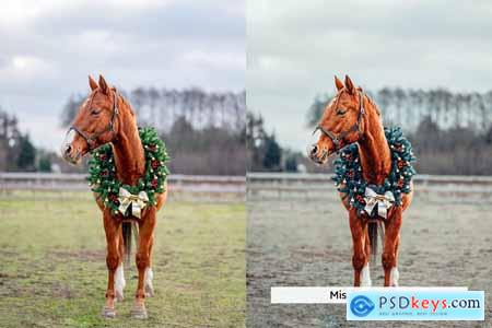 20 Festive Film Lightroom Presets and LUTs