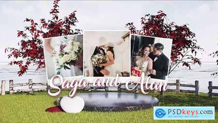 Wedding Slideshow 50115094