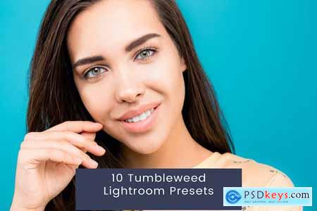 10 Tumbleweed Lightroom Presets