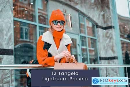 12 Tangelo Lightroom Presets