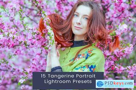 15 Tangerine Portrait Lightroom Presets