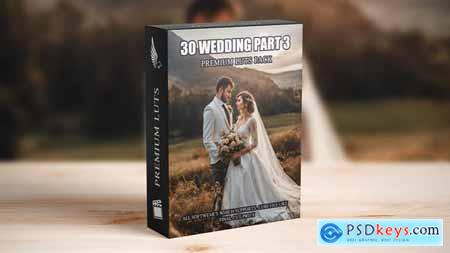 Master Wedding Videography 30 Premium Cinematic LUTs 50041893