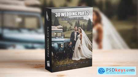 Elevate Your Wedding Films 30 Professional Cinematic LUTs 50041509