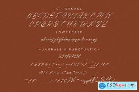 Bithodina Modern Brush Font