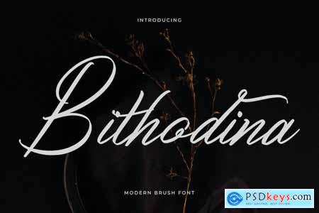 Bithodina Modern Brush Font