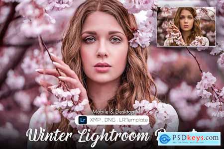 20 Winter Lightroom Preset