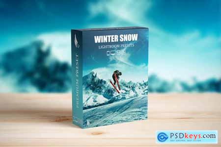 Snow & Winter Presets for Lightroom and Photoshop