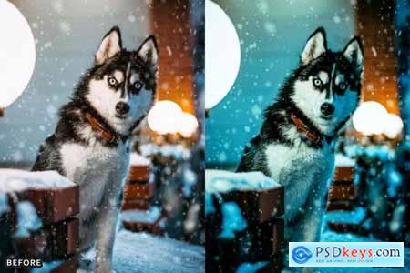 Snow & Winter Presets for Lightroom and Photoshop