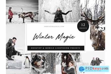 Winter Magic - Lightroom Presets