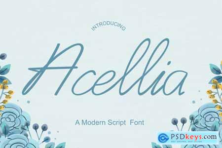 Acellia - Modern Script Font